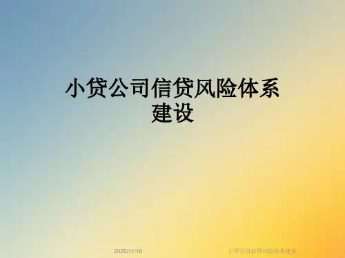 小贷公司信贷风险体系建设