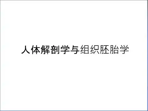 最新人体解剖学与组织胚胎学教学文案