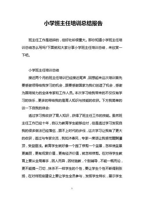 小学班主任培训总结报告