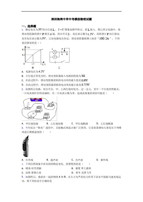 深圳海湾中学中考模拟物理试题