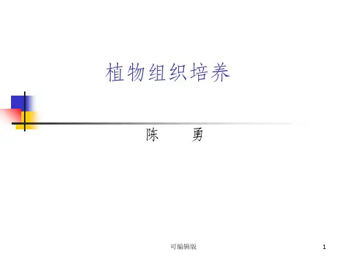 植物组织培养实验(1)
