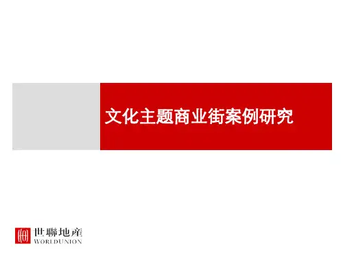 中国特色文化商业街案例研究