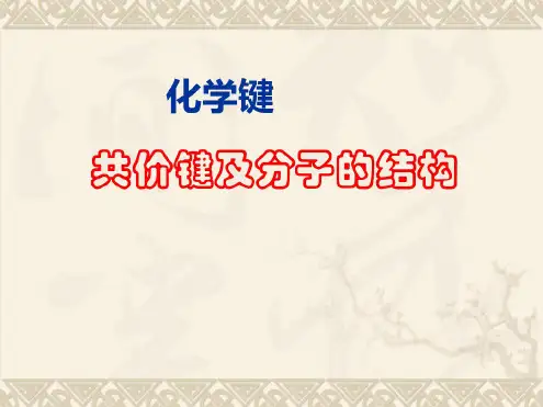 《化学键》课件PPT