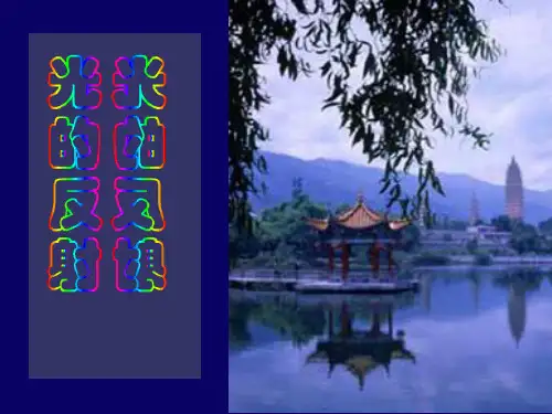 初中物理光的反射课件