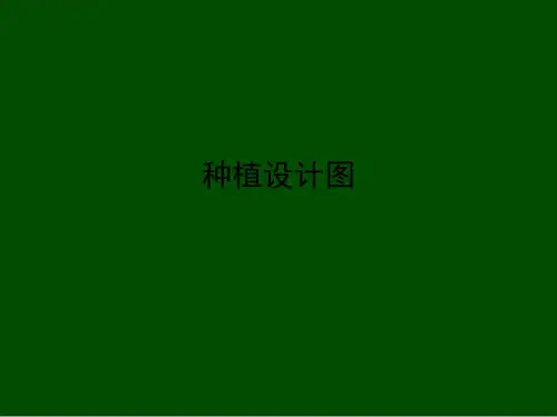 种植设计图