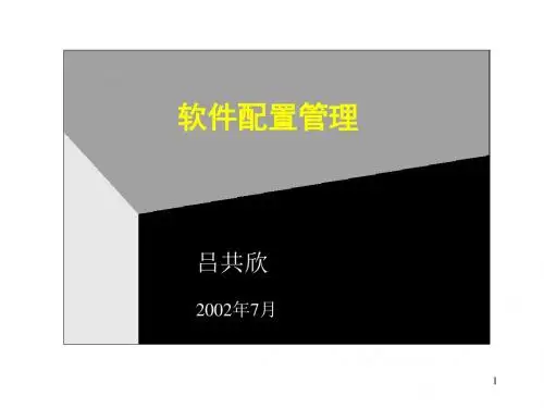 软件配置管理