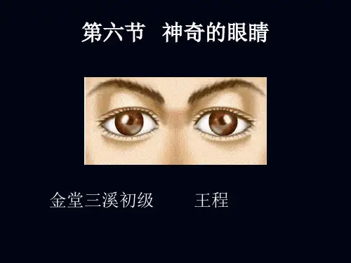 八年级物理4.6神奇的眼睛优秀课件