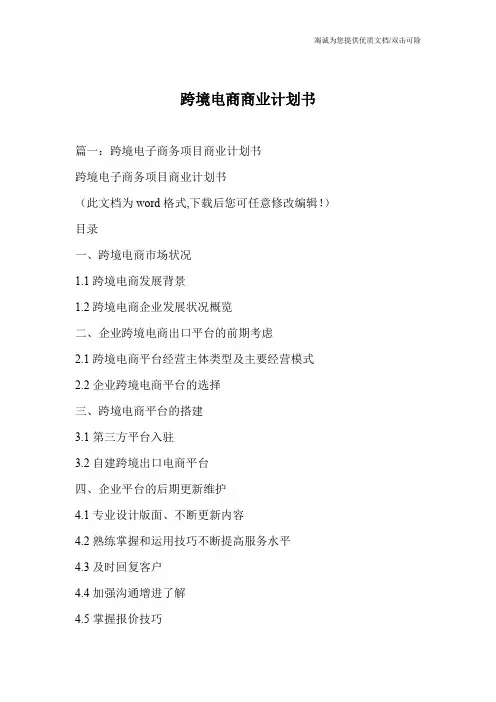 跨境电商商业计划书 2