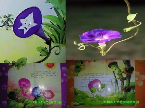 牵牛花与竹篱笆