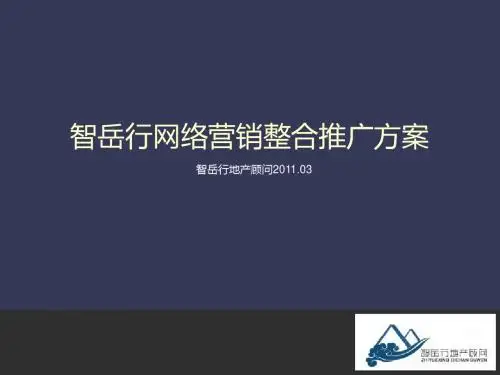 智岳行网络营销整合推广方案