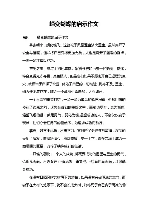 蛹变蝴蝶的启示作文