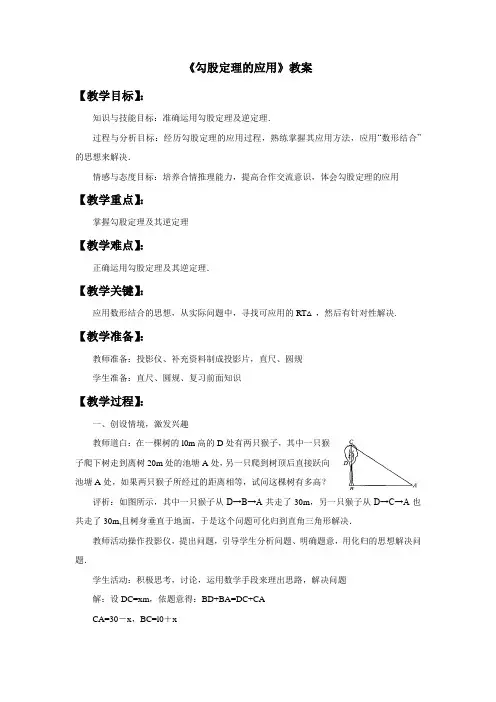 鲁教版七年级数学上册《勾股定理的应用》教案