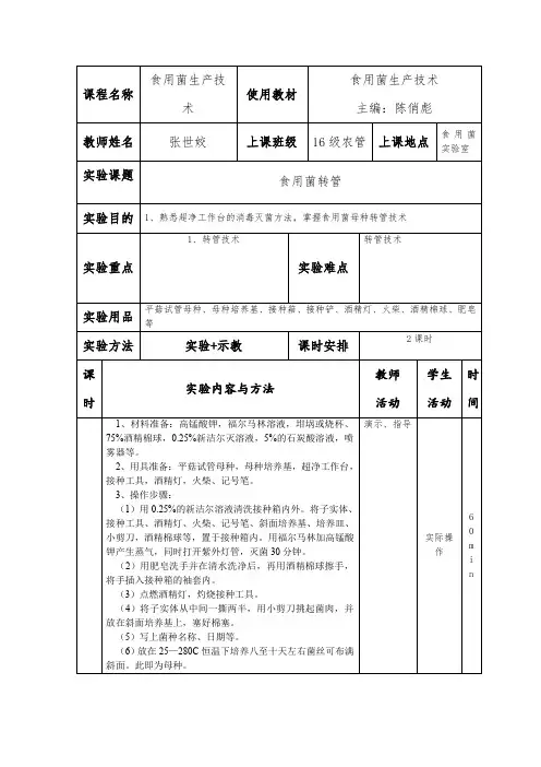食用菌母种转管  实验