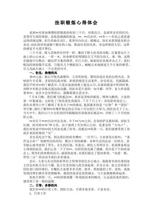 挂职锻炼心得体会 2