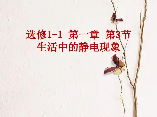 高中物理选修11 1.3 生活中的静电现象 课件