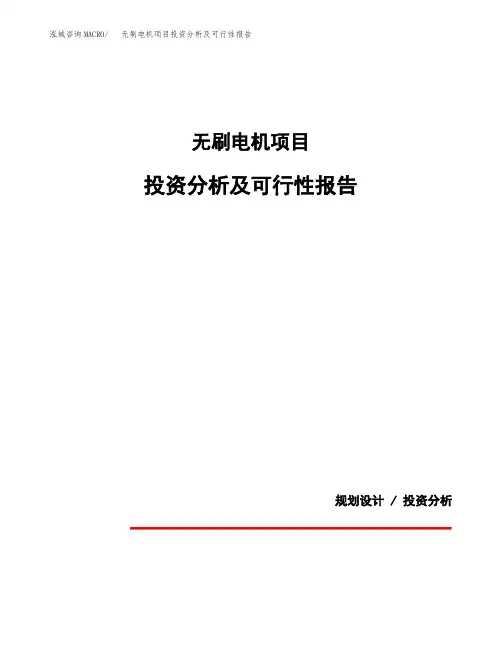 无刷电机项目投资分析及可行性报告