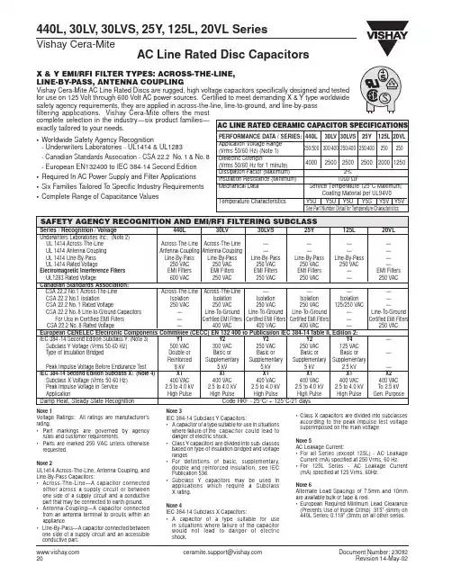 25Y中文资料
