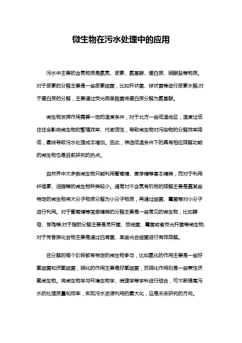 微生物在污水处理中的应用 2