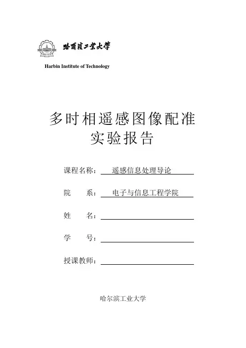 多时相遥感图像配准实验报告