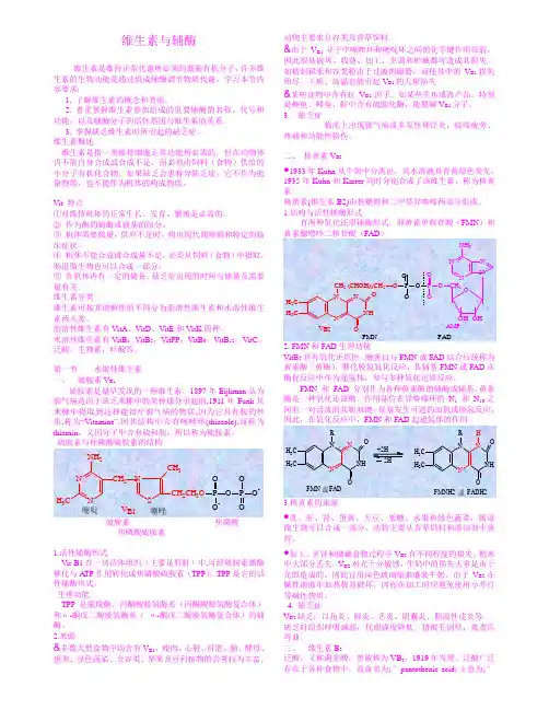 维生素与辅酶
