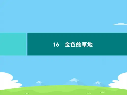 三年级上册语文习题课件-16 金色的草地｜部编版语文课件PPT