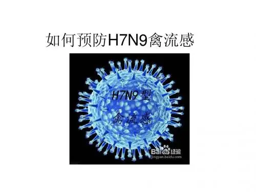 主题班会--如何预防H7N9禽流感20130422