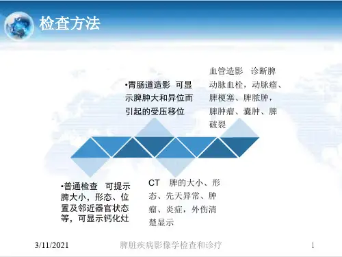 脾脏疾病影像学检查和诊疗培训课件