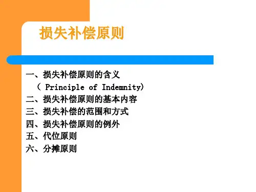 损失补偿原则.