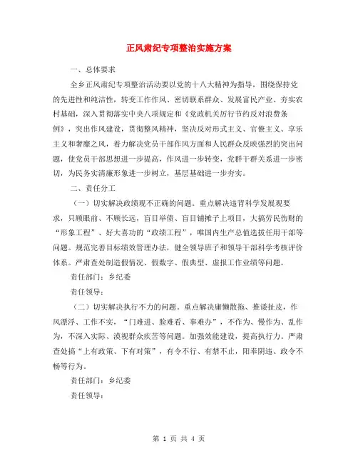 正风肃纪专项整治实施方案