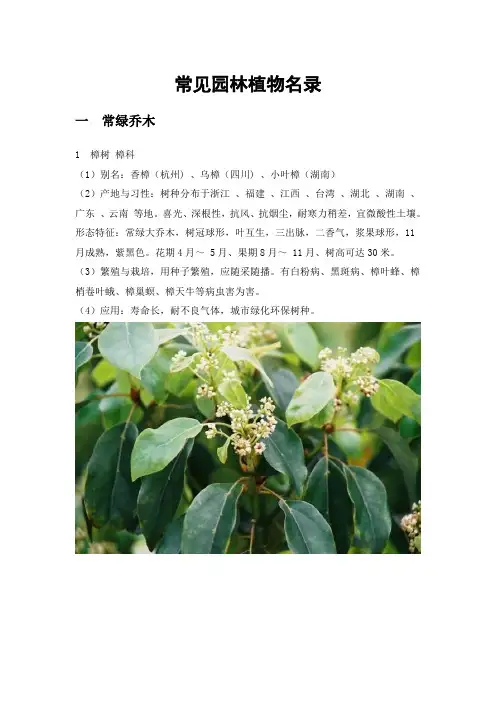 常见校园植物名录(附图片)