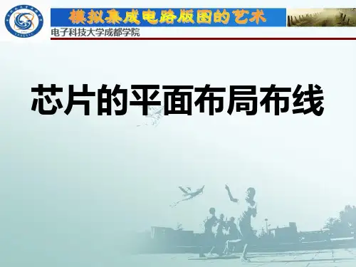 集成电路平面布局