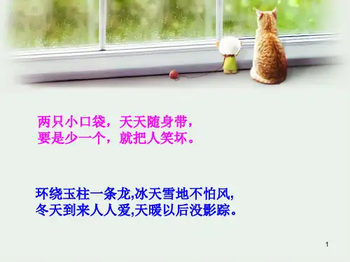 青少版新概念入门B第8单元(课堂PPT)
