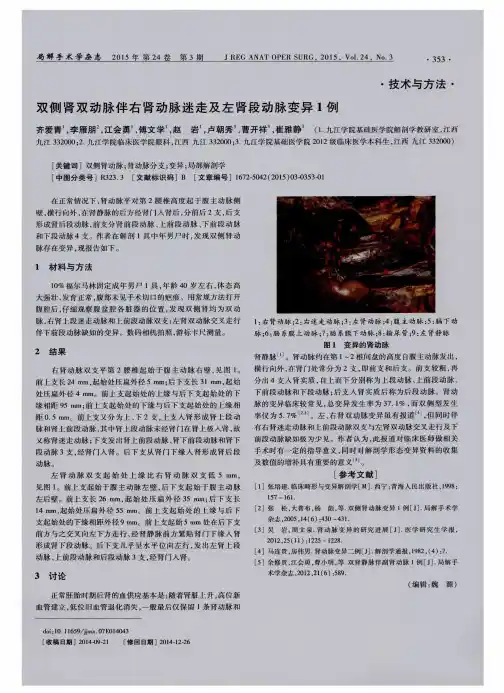 双侧肾双动脉伴右肾动脉迷走及左肾段动脉变异1例