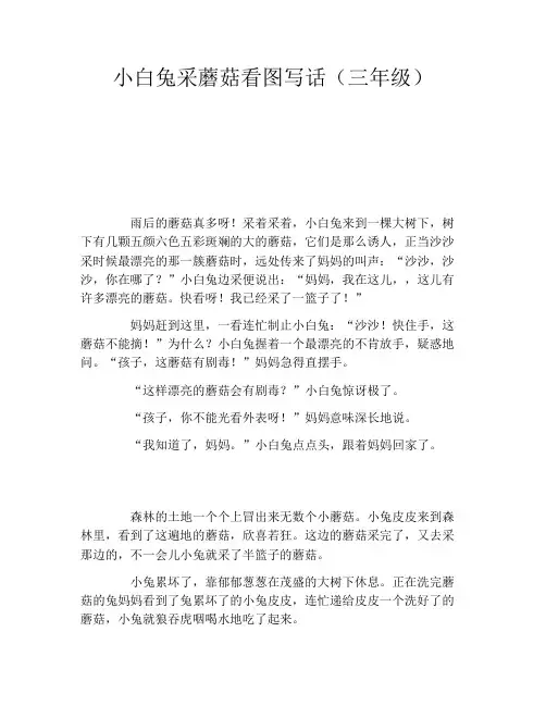 小白兔采蘑菇看图写话(三年级)
