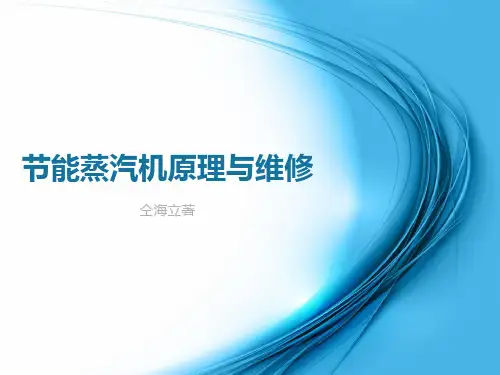 节能蒸汽机原理与维修