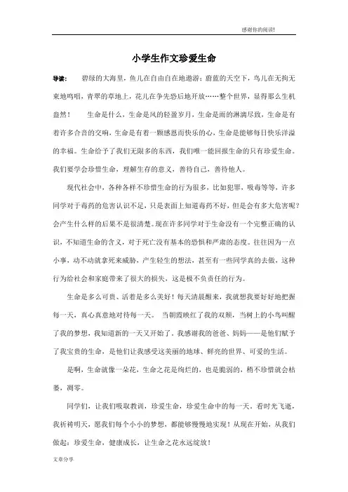 小学生作文珍爱生命