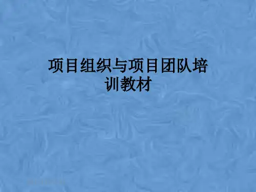 项目组织与项目团队培训教材