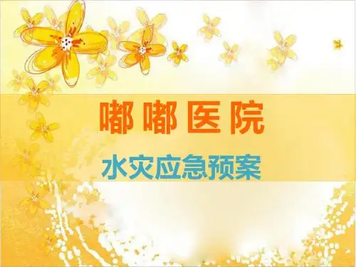 医院水灾应急预案PPT课件