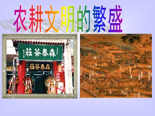 农耕文明的繁盛课件ppt[新]