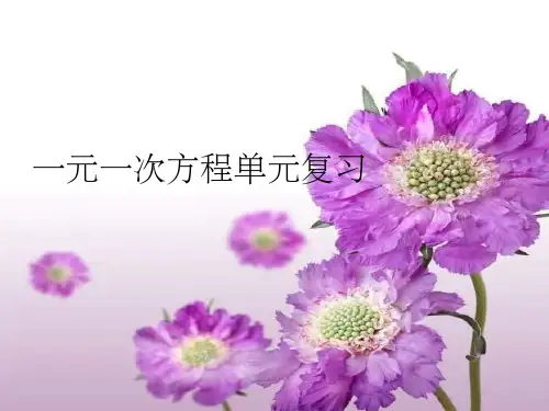 一元一次方程单元复习整理ppt课件