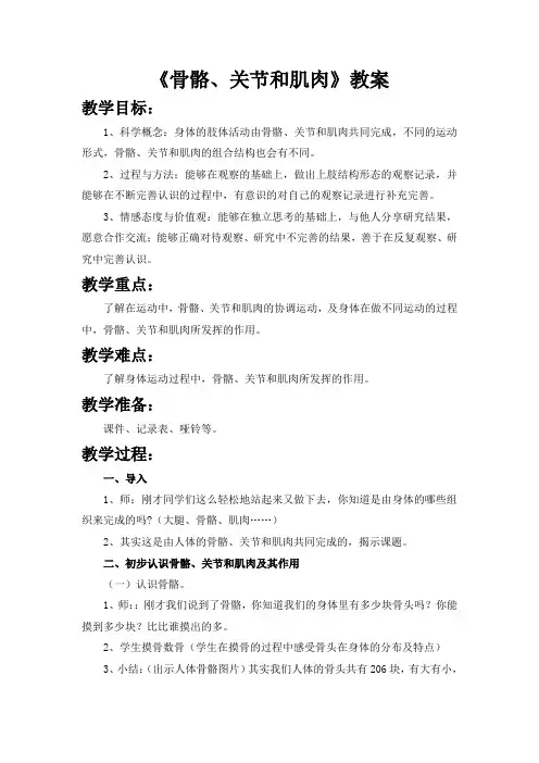 《骨骼、关节和肌肉》优秀教案