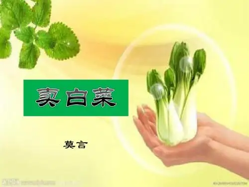 《卖白菜》课件