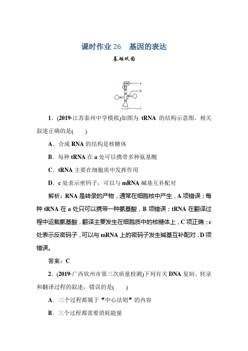 21新课标高考生物一轮总复习课时作业：第6章 基因的本质与表达 课时作业26 含解析