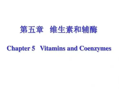 第五章 维生素和辅酶