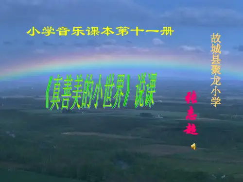《真善美的小世界》说课稿
