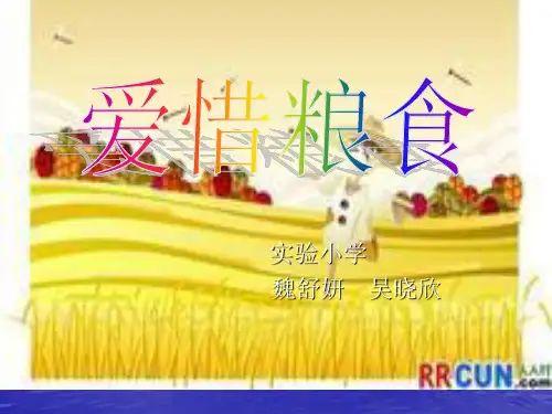 爱惜粮食主题班会ppt