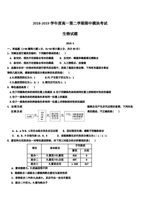 山东省淄博第一中学2018-2019学年高一下学期期中考试生物试题【附答案】