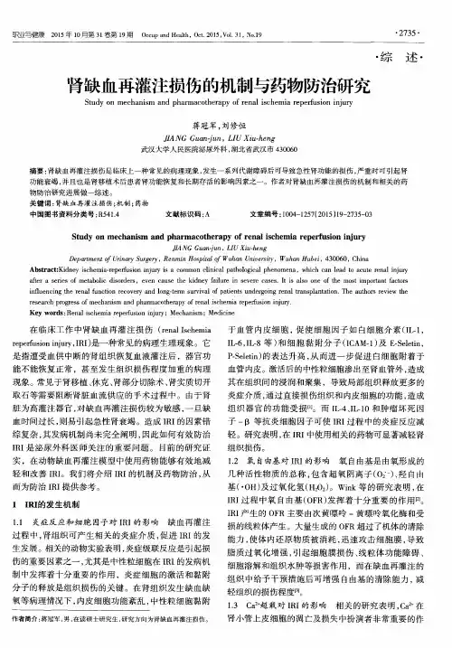 肾缺血再灌注损伤的机制与药物防治研究