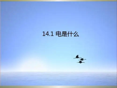 沪科版2018年物理九年级：14.1《电是什么》ppt课件(29张)