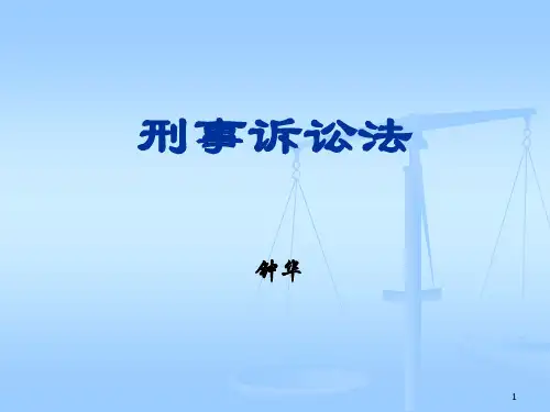 刑事诉讼法(特别程序)ppt课件